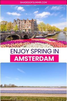 two pictures with the words enjoy spring in amsterdam