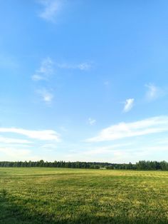 a large open field with trees in the distance and blue sky above it on a sunny day