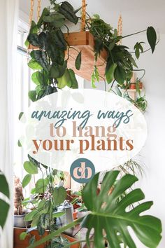 a sign that says amazing ways to hang your plants