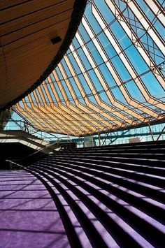 the inside of a building with purple carpet and glass roof above it, looking up at an escalator