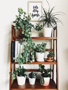 some plants are sitting on top of a shelf