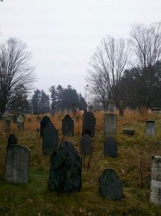 an old cemetery with many headstones and trees in the background