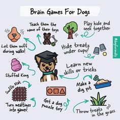 an illustrated diagram showing the different types of games for dogs