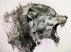 a drawing of a wolf with its mouth open