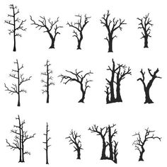 the silhouettes of different trees on a white background