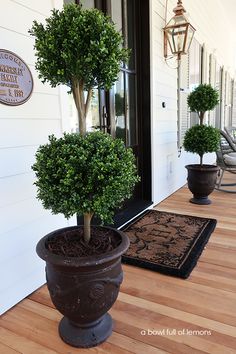 two potted trees are on the front porch