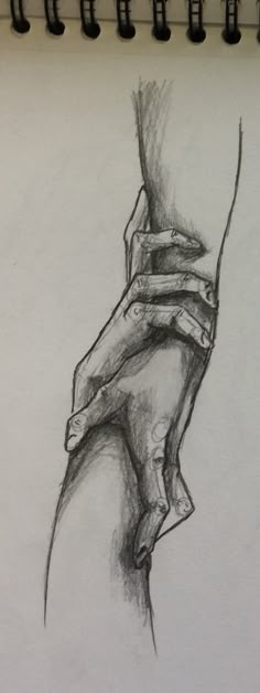 a pencil drawing of a hand holding something