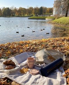 an open book and cup on a blanket near the water with ducks in the background