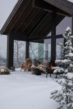 there is snow on the ground and trees in front of this house with glass windows