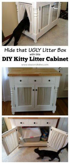 the diy kitty litter cabinet has two cats in it and one cat is on the floor