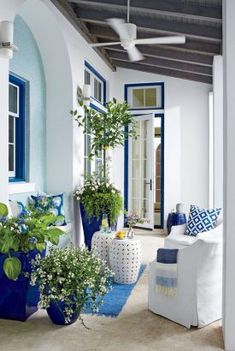 a living room with blue and white decor on the walls, windows, and ceiling fan