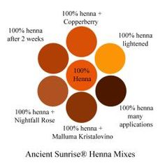 Henna Mixes: Henna, Indigo, Cassia and Fruit Juices