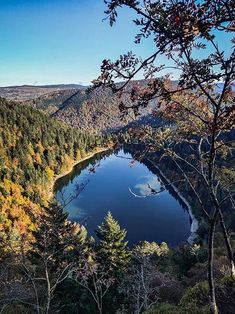 a lake surrounded by trees in the middle of a forest with lots of leaves on it