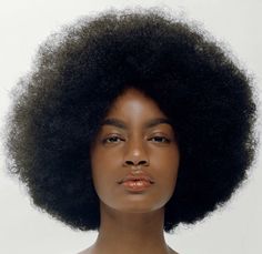 Ebonee Davis, 4c Afro, The Blacker The Berry, Hair Shape, Big Afro, Female Faces, Modeling Photography, Frosé, Natural Afro Hairstyles