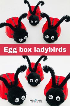 an egg box ladybug made out of toilet paper and some googly eyes