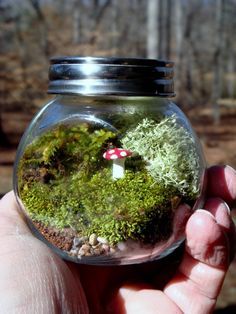 a hand holding a glass jar filled with moss and a small red mushroom sitting on top of it