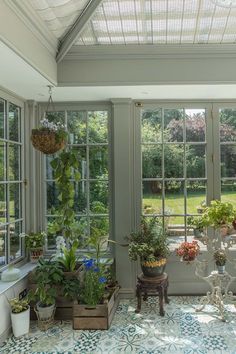 a room filled with lots of plants and windows