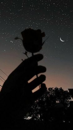 a person's hand holding a flower in front of the night sky