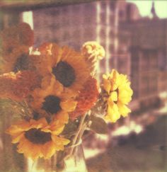 a vase filled with yellow and orange sunflowers