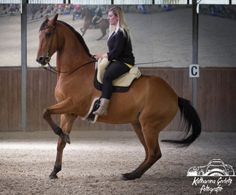 a woman riding on the back of a brown horse