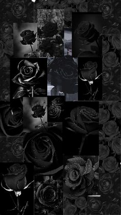 a collage of black and white images with roses in the middle, on top of each other