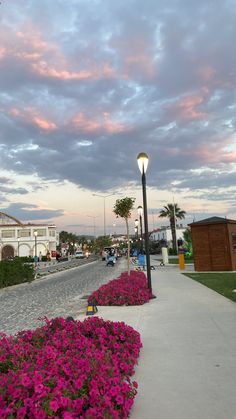 pink flowers line the sidewalk in front of a building and street lamp at dusk with clouds overhead