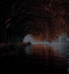 trees line the edge of a body of water with red leaves hanging from it's branches