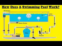 an image of how does a swimming pool work? with diagram and description on yellow background