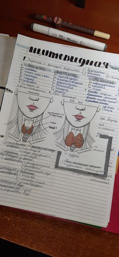 an open notebook with drawings of the human head and neck on top of it next to a pair of pencils