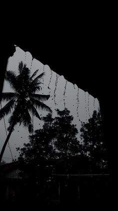 the reflection of a palm tree in a mirror with lights hanging from it's sides