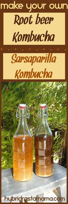 two bottles of kombucha sitting on top of a table next to each other