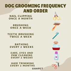 a dog grooming poster with instructions on how to use it