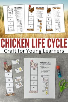 chicken life cycle craft for young learners