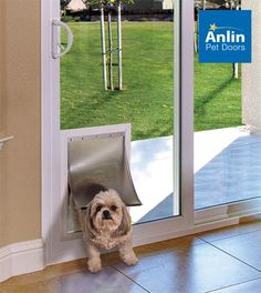 a small dog standing in front of a sliding glass door with its head sticking out