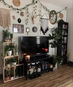 a living room filled with lots of plants and decorations on the wall above a flat screen tv