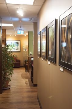 Acupuncture and Massage Clinic design Acupuncture Clinic Design, Acupuncture Clinic Design Interiors, Acupuncture Room, Massage Clinic, Acupuncture Clinic, Frog Design, Clinic Design, Acupuncture, Framed Bathroom Mirror