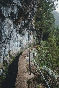 the path to the top of this mountain is very steep and narrow, with no one on it