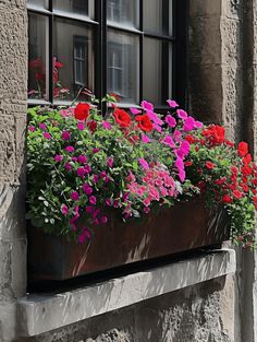 a window box filled with lots of colorful flowers