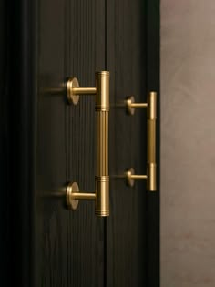 an open door with brass handles and knobs