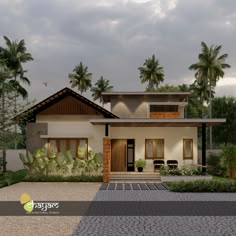 this is an artist's rendering of a modern house in the tropical style with palm trees