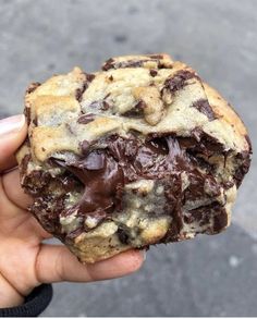 a person holding a chocolate chip cookie in their hand