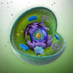 an animal cell is shown in this image