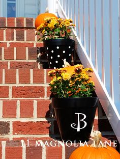 three planters with flowers and pumpkins on the steps