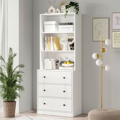 a white bookcase in a living room with a potted plant on the floor