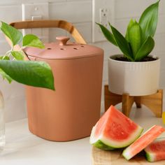 a watermelon slice is on the counter next to a brown potted plant