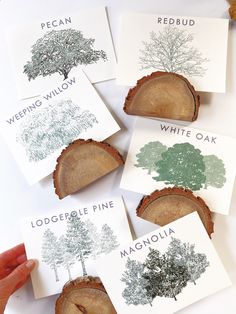 four cards with different types of trees on them