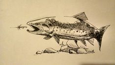 a drawing of a fish with its mouth open