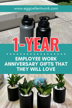 two black water bottles with plants in them and the words 1 - year employee work anniversary gifts that they will love