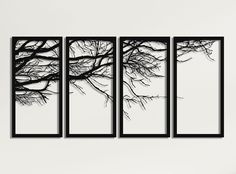 three black and white paintings hanging on the wall in front of a window with tree branches