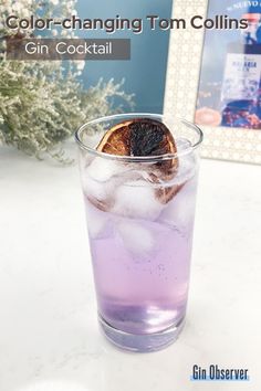 a glass filled with purple liquid and an orange slice